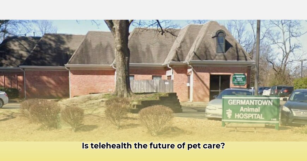 germantown-animal-hospital-germantown-tennessee